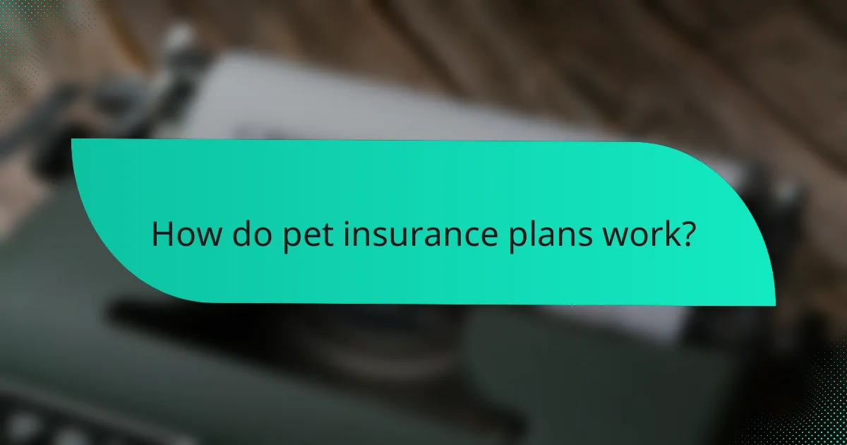 How do pet insurance plans work?