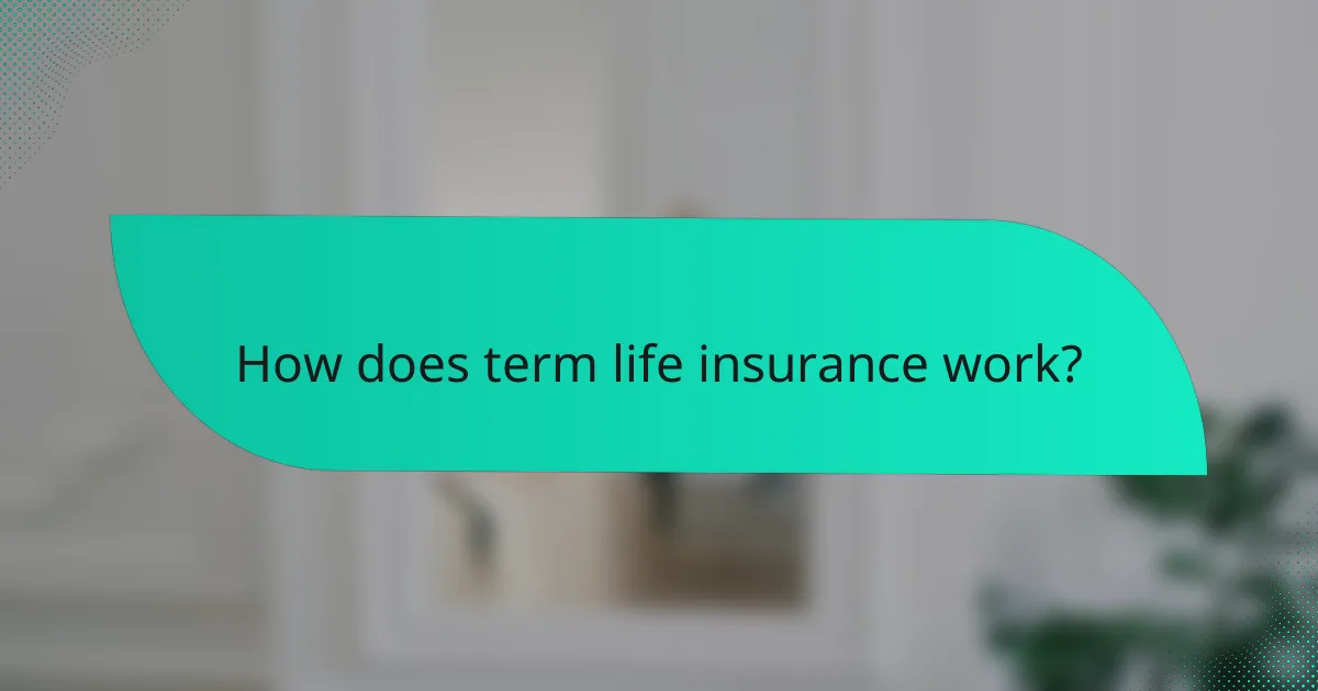 How does term life insurance work?