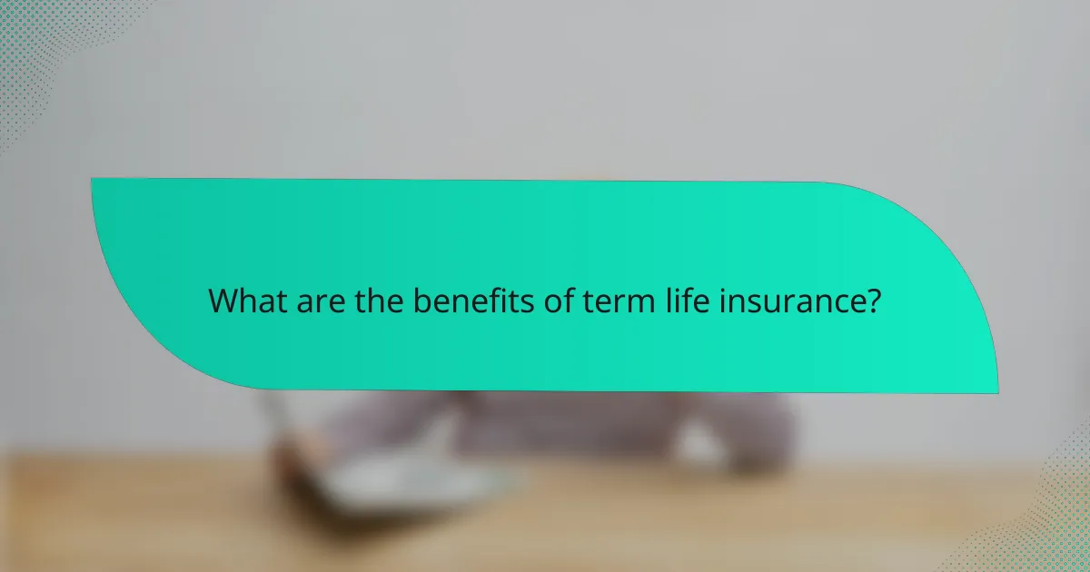 What are the benefits of term life insurance?